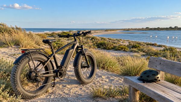 Top 5 fatbikes électriques à considérer en 2026