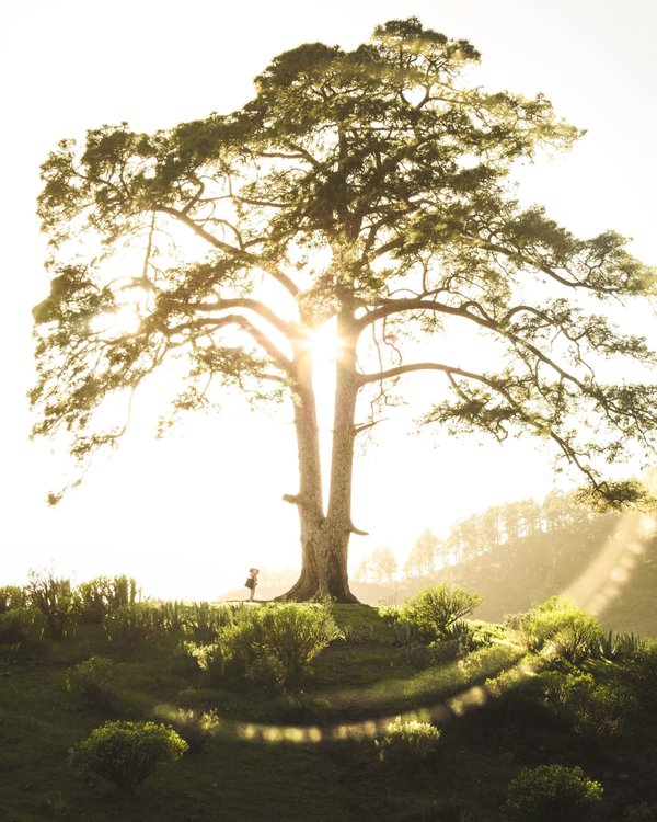 Les combattants les plus charismatiques et respectés de l'histoire de la lutte libre