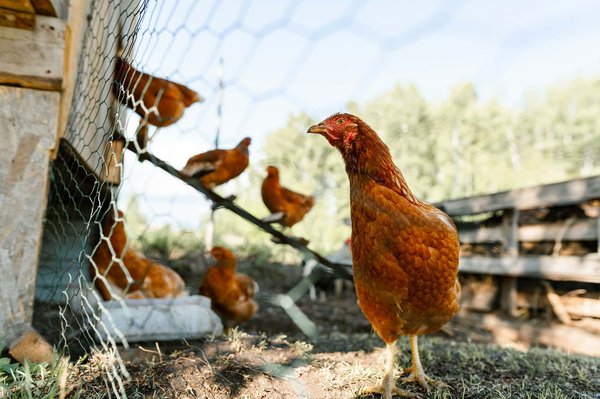 Comment optimiser le rangement des vélos dans un garage partagé d'immeuble ?
