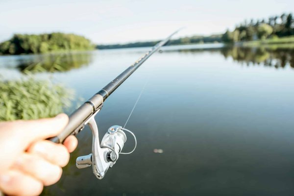Comment choisir la meilleure canne à pêche de bar en bord de mer ?